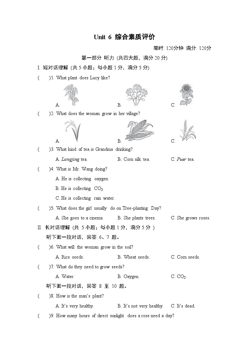外研版(2024)英语七上 Unit 6 综合素质评价试卷01