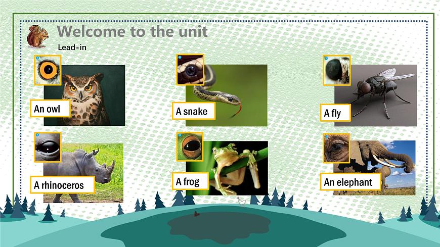 牛津譯林版八上Unit5 Welcome to the unit課件PPT第4頁(yè)