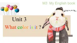 Starter Module3 Unit3 What colour is it? 课件 PPT