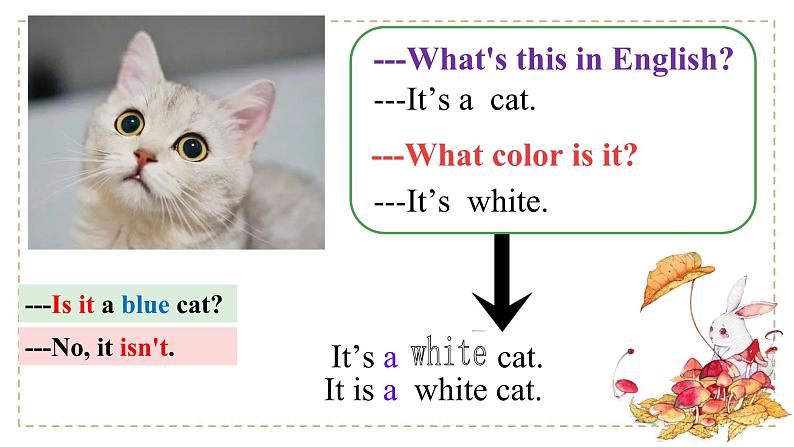 Starter Module3 Unit3 What colour is it? 课件 PPT06