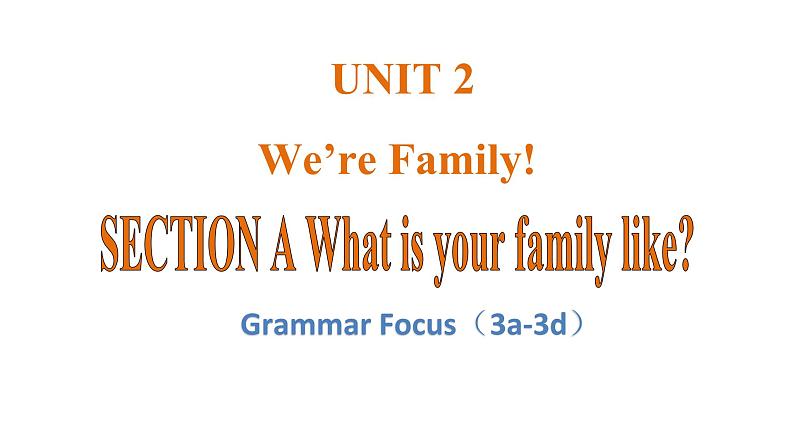Unit 2 We’re Family! 课时3 Grammar Focus (3a–3d) 课件- 2024-2025学年人教版(2024)七年级英语上册01