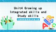 英语九年级上册lntegrated skills精品课件ppt