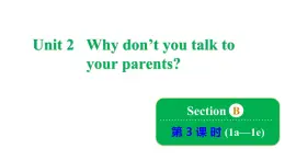 Unit 2 Why don't you talk to your parents_ Section B 1a~1e 课件鲁教版(五四制)八年级上册
