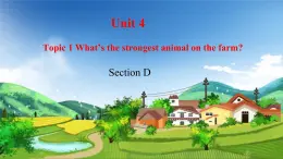 初中英语科普版八年级上册Unit 4 Topic 1 What's the strongest animal on the farm Section D 课件+音频