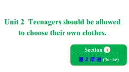 鲁教版九年级全册Unit 2 Teenagers should be allowed to choose their own clothes.  Section A 3a~4c课件