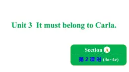 鲁教版（五四制）九年级全册Unit 3 It must belong to Carla Section A 3a~4c课件