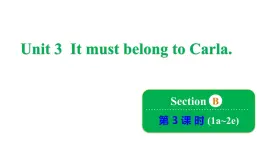 鲁教版（五四制）九年级全册Unit 3 It must belong to Carla. Section B 1a~2e课件