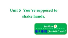 鲁教版（五四制）九年级全册Unit 5 You’re supposed to shake hands. Section B 3a~Self Check课件