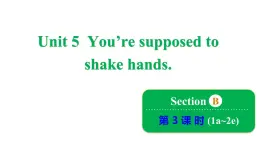 鲁教版（五四制）九年级全册Unit 5 You’re supposed to shake hands. Section B 1a~2e课件