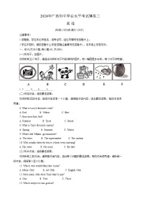 2024年广西河池市凤山县中考英语模拟试卷（二）