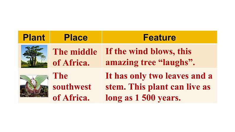 冀教版初中英语八下Unit 2 Lesson 11 Amazing Plants课件+教案+素材08