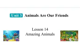 冀教版初中英语八下Unit 3 Lesson 14  Amazing Animals课件+教案+素材