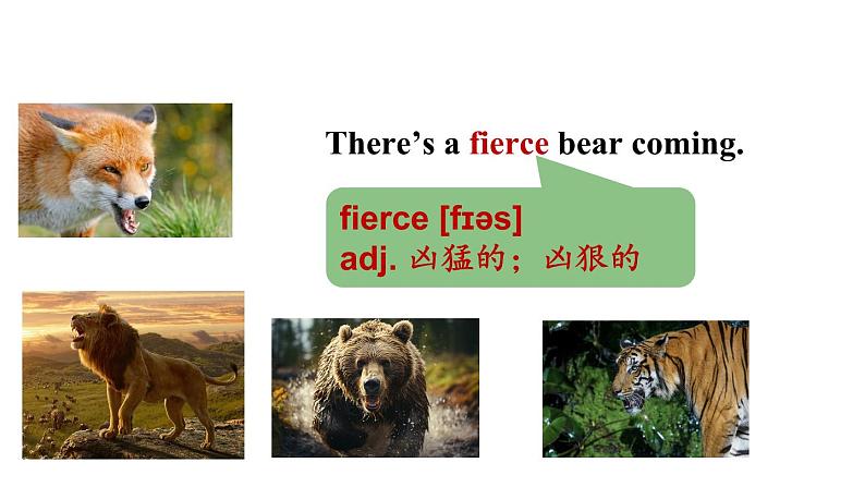 冀教版初中英语八下Unit 3 Lesson 16 The Bear Escaped!课件+教案+素材05