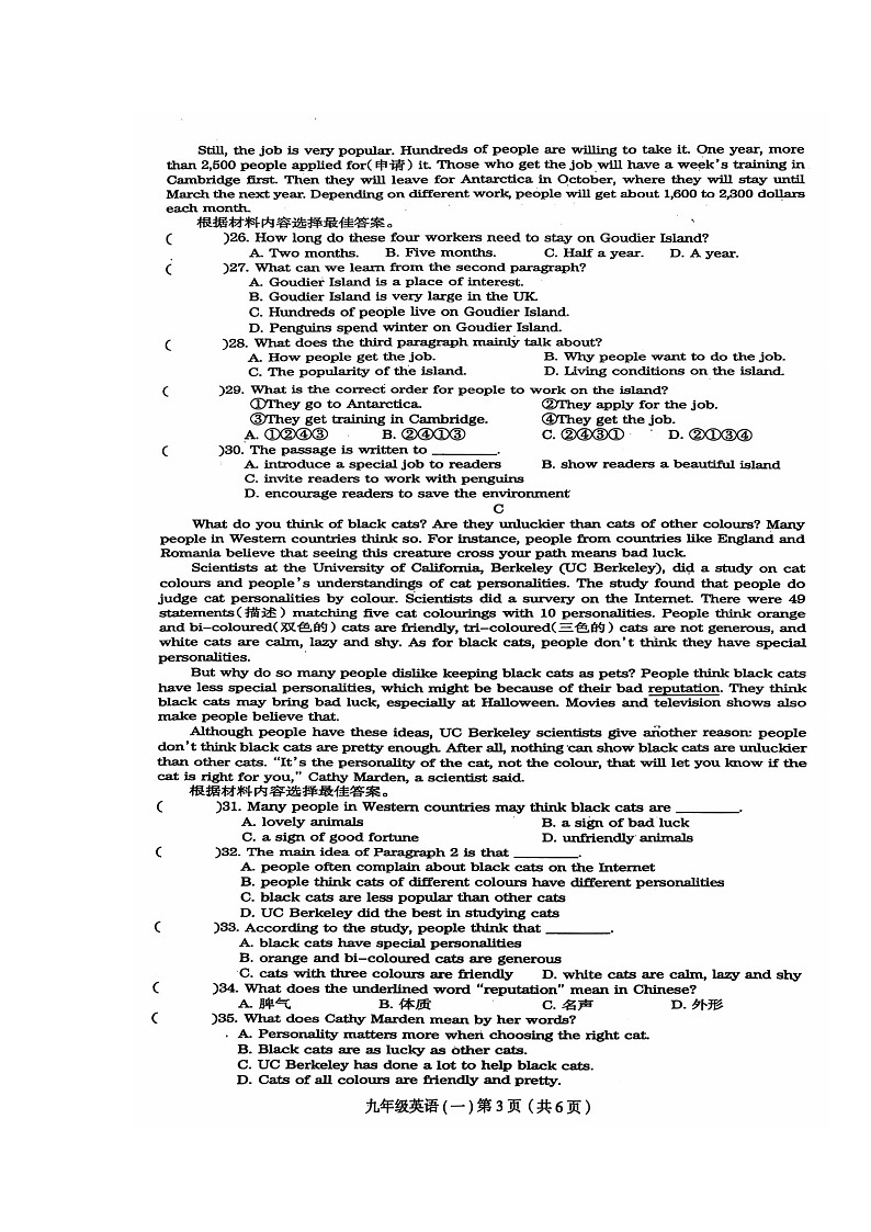 河南省周口市郸城县2024-2025学年九年级上学期10月月考英语试题第3页