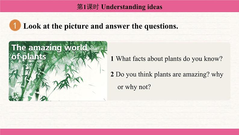 Unit 6 The power of plants Understanding ideas 课件 2024-2025学年外研版(2024)七年级英语上册07