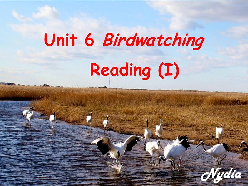 译林版英语八年级上册Unit 6 Birdwatching Birdwatching课件第1页