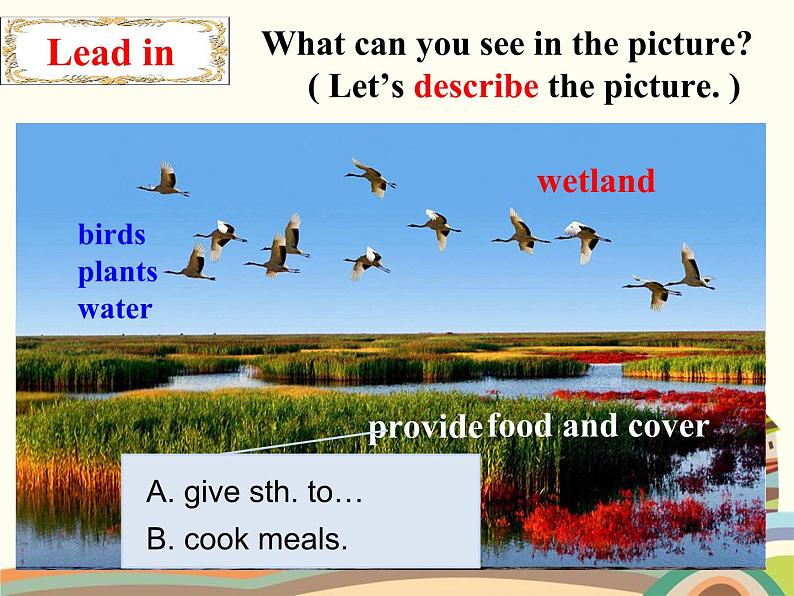 译林版英语八年级上册Unit 6 Birdwatching Birdwatching课件第3页