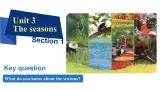Unit3  The seasons Section1  课件-2024-2025学年沪教版（2024）七年级英语上册