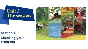 初中英语沪教牛津版（2024）七年级上册（2024）Focusing on culture说课ppt课件