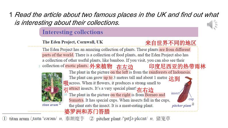 Unit8 Collecting as a hobby Section4、Checking your progress 课件-2024-2025学年沪教版(2024)七年级英语上册03