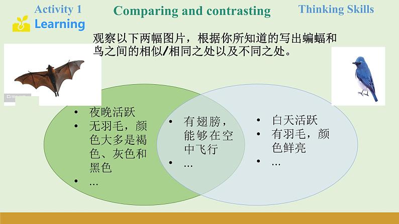 仁爱科普版(2024)七年级英语上册课件 Unit 5 第3课时 Thinking Skills & Reading Strategies第7页