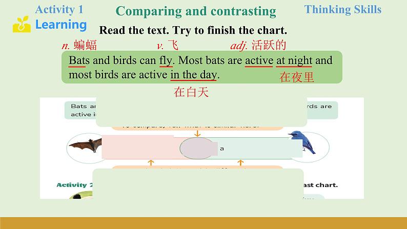 仁爱科普版(2024)七年级英语上册课件 Unit 5 第3课时 Thinking Skills & Reading Strategies第8页