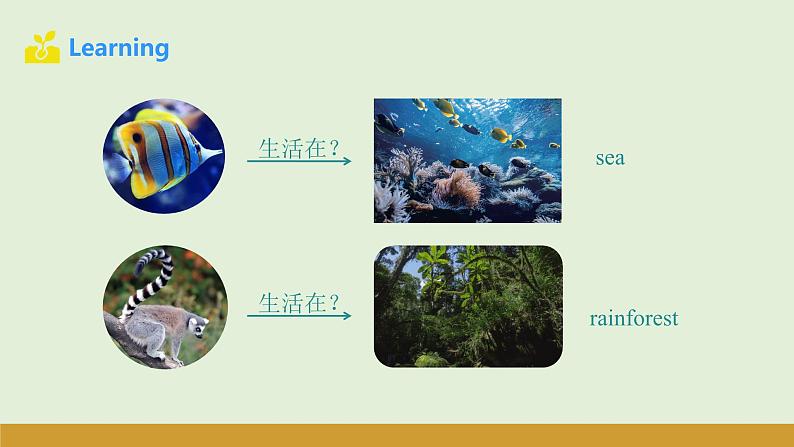 仁爱科普版(2024)七年级英语上册课件 Unit 5 第4课时 Theme Reading第6页
