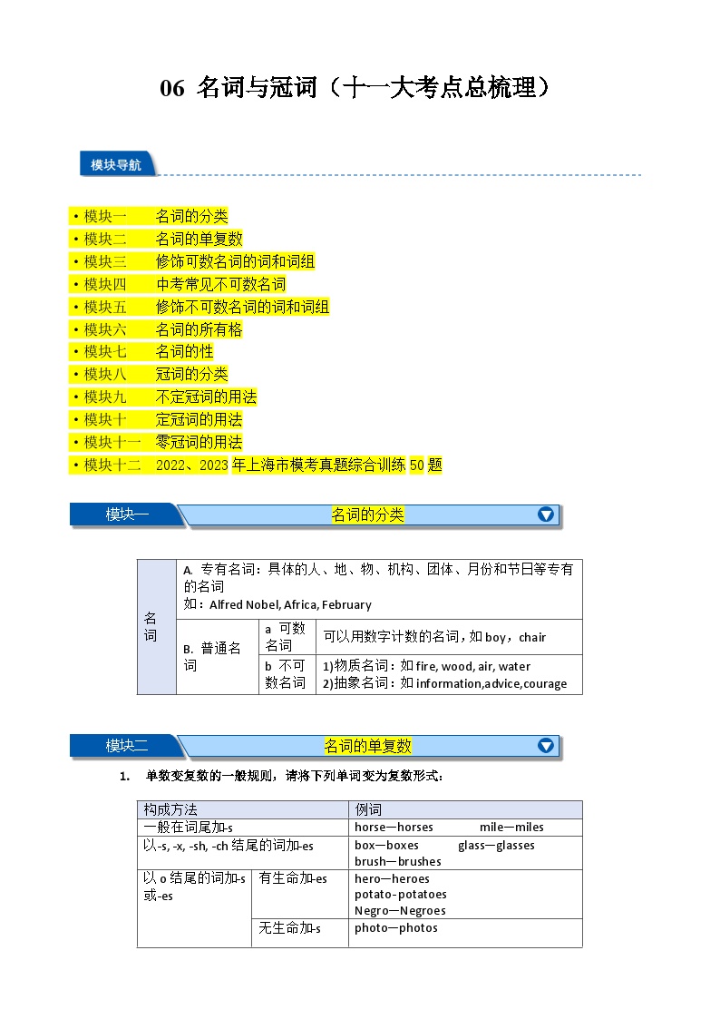 06 名词与冠词（十一大考点讲解练习）2025中考英语一轮总复习全攻略宝典（上海专用）（解析版）