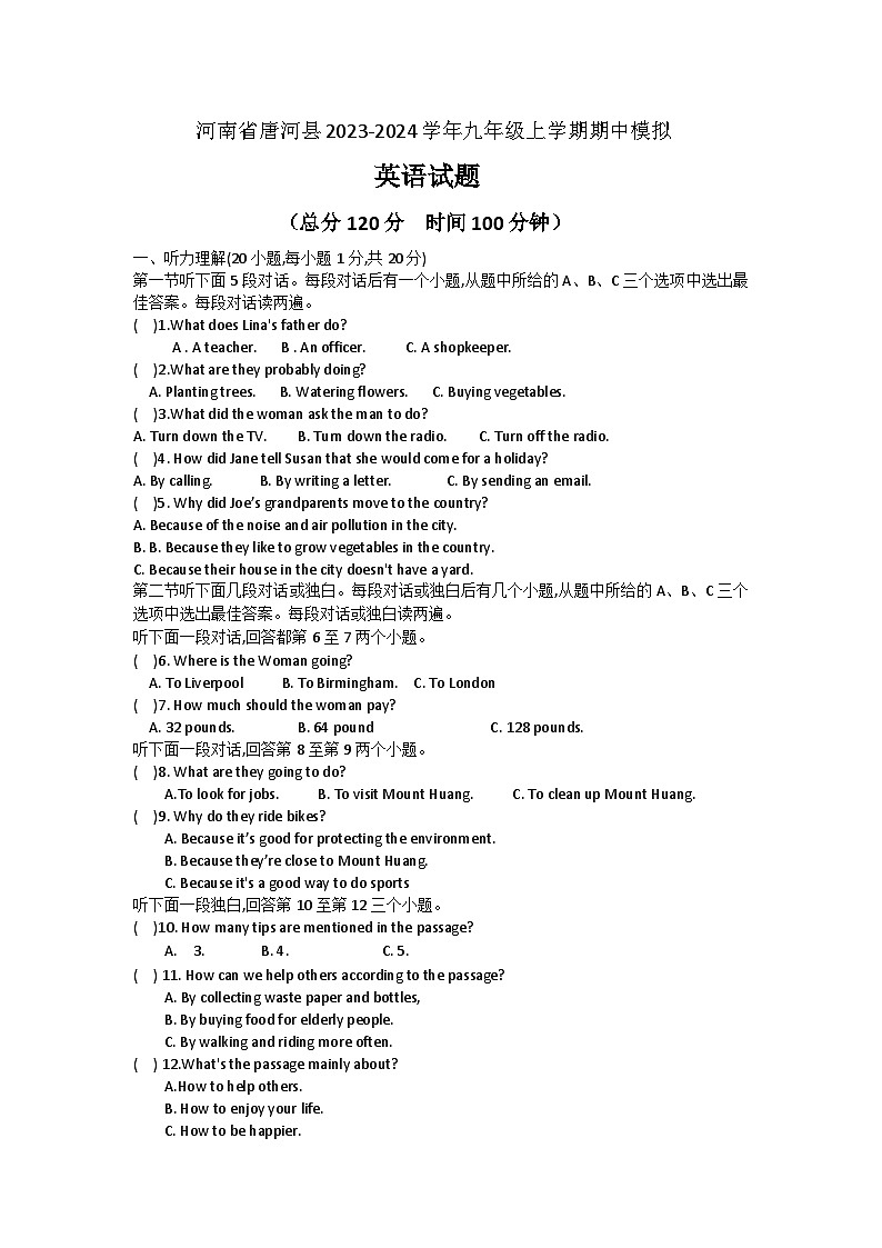 河南省南阳市唐河县教育体育局2024-2025学年九年级上学期10月期中考试英语试题第1页
