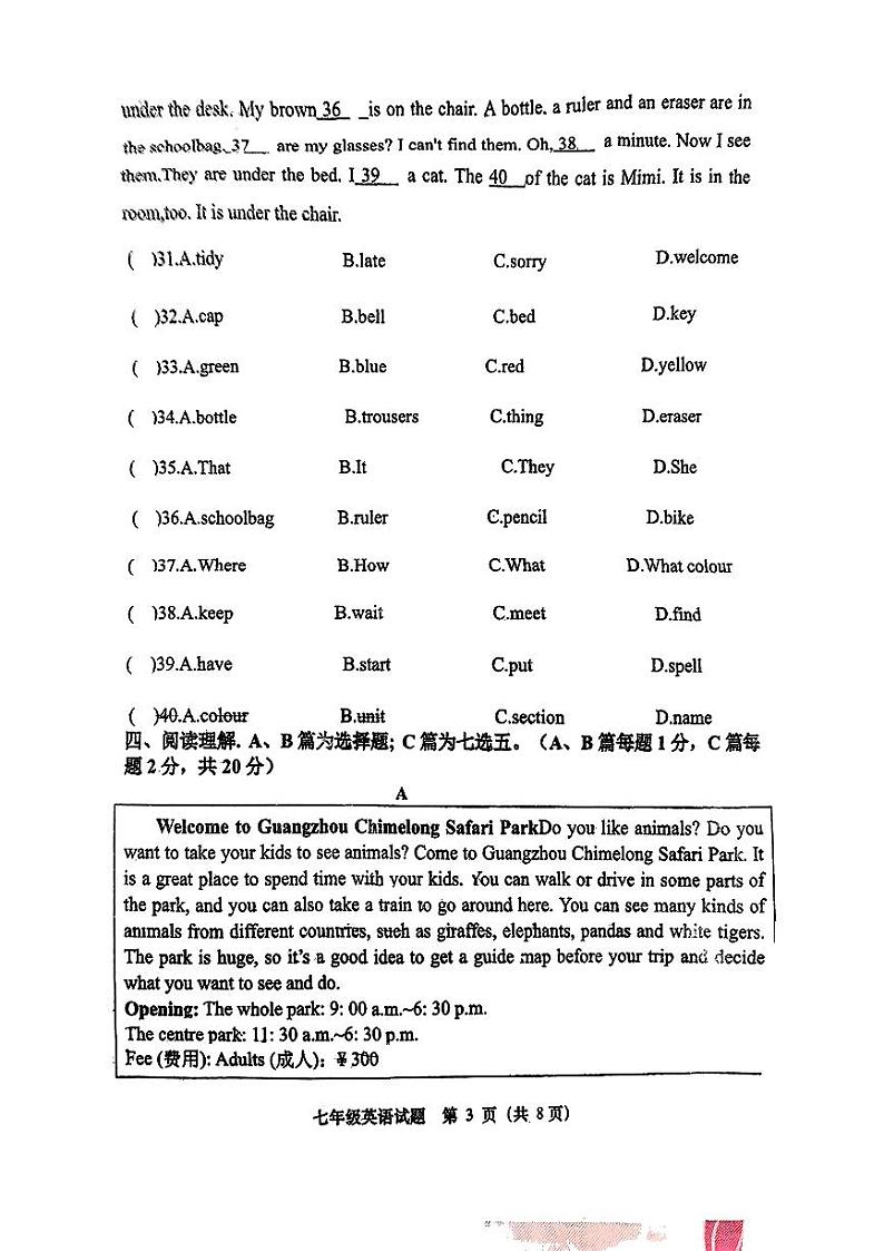山东省青岛市西海岸区2024-2025学年七年级上学期10月月考英语试题第3页