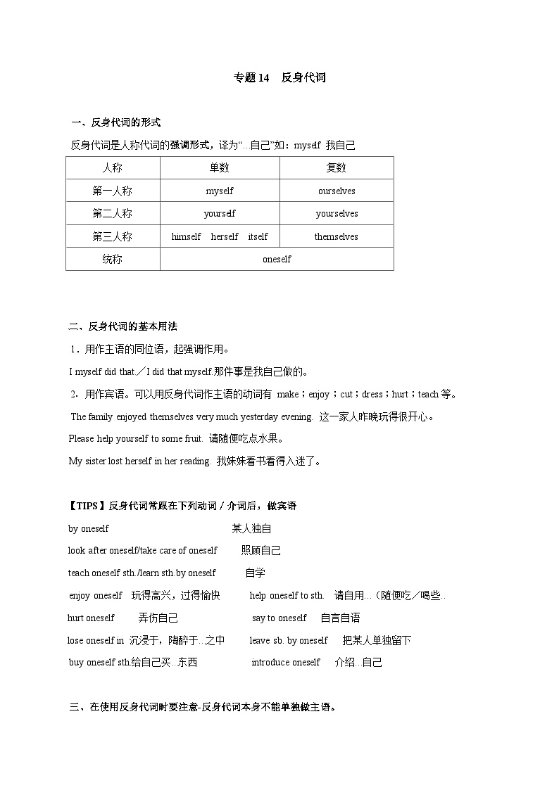 专题14 反身代词-备战2025年中考英语语法专项突破与提升训练