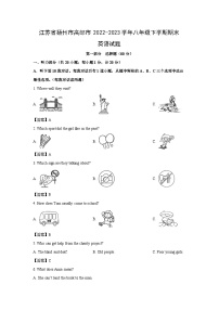 江苏省扬州市高邮市2022-2023学年八年级下学期期末英语试卷(解析版)