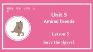 初中英语冀教版（2024）七年级上册（2024）Lesson 5 Save the tigers!教学演示课件ppt