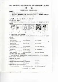 广西壮族自治区梧州市苍梧县2024-2025学年七年级上学期11月期中英语试题