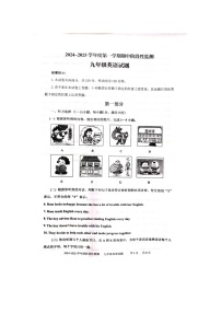 山东省枣庄市台儿庄区2024-2025学年九年级上学期11月期中考试英语试题