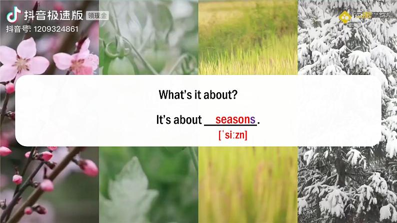 Unit 4 Fun in the Sun!Listening & Speaking - 七年级英语上册同步课件(仁爱版2024)第3页