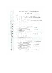 河南省驻马店市泌阳县2024-2025学年九年级上学期11月期中英语试题