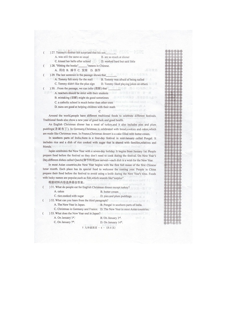 河南省驻马店市泌阳县2024-2025学年九年级上学期11月期中英语试题第3页