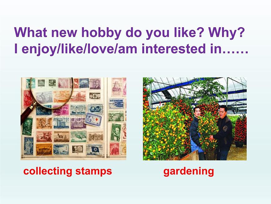 2024冀教版八上英語Unit 7 Enjoy Your Hobby Lesson 38 Hobbies Are Fun課件第2頁