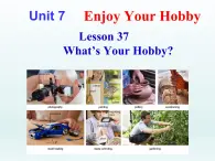 2024冀教版八上英语Unit 7 Enjoy Your Hobby Lesson 37 What's Your Hobby课件