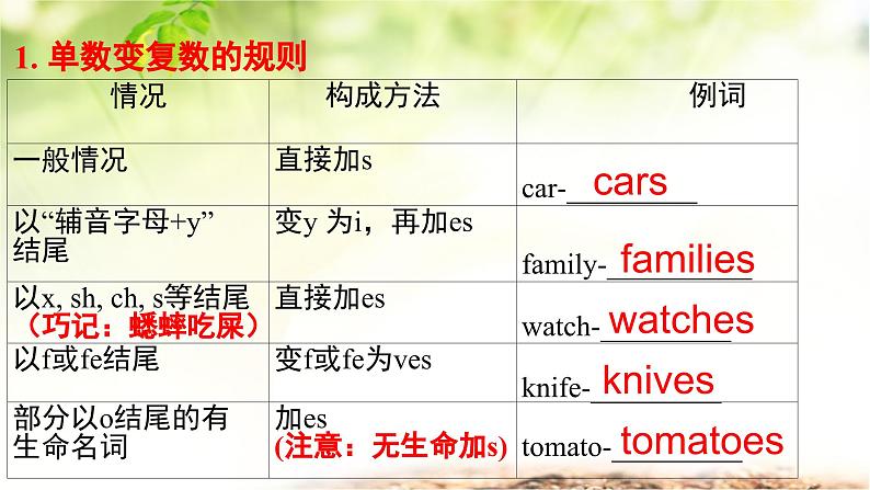 人教版(2024新版)七年级上册英语期中复习课件第4页