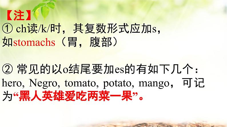 人教版(2024新版)七年级上册英语期中复习课件第5页