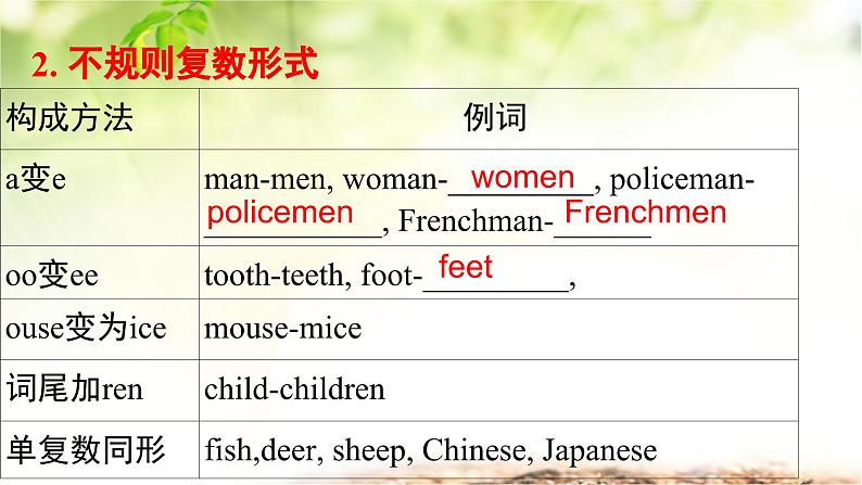 人教版(2024新版)七年级上册英语期中复习课件第6页