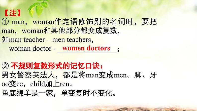 人教版(2024新版)七年级上册英语期中复习课件第7页