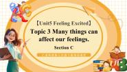 仁爱科普版（2024）八年级下册Topic 3 Many things can affect our feelings.教学ppt课件