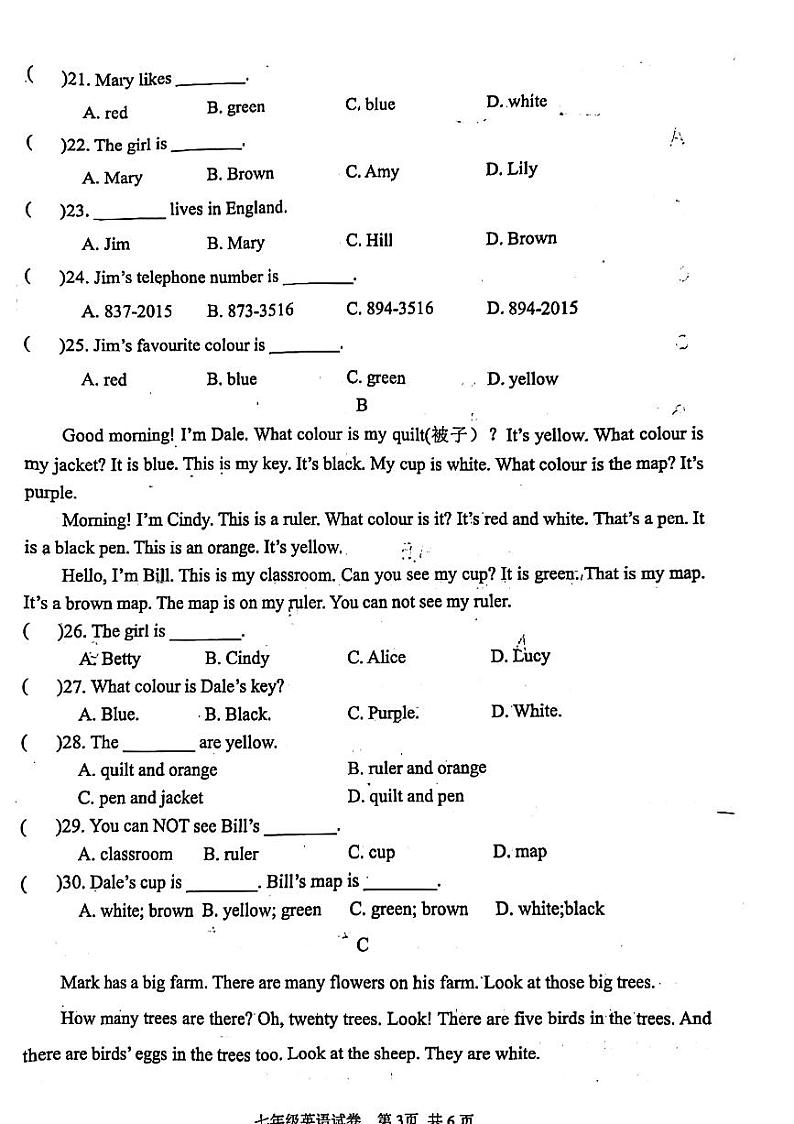 河南省安阳市锦绣中学2024-2025学年七年级上学期期中考试英语试卷+第3页