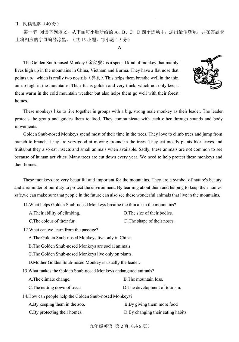 广东省深圳市龙岗区2024-2025学年上学期九年级期中英语联考试题第2页