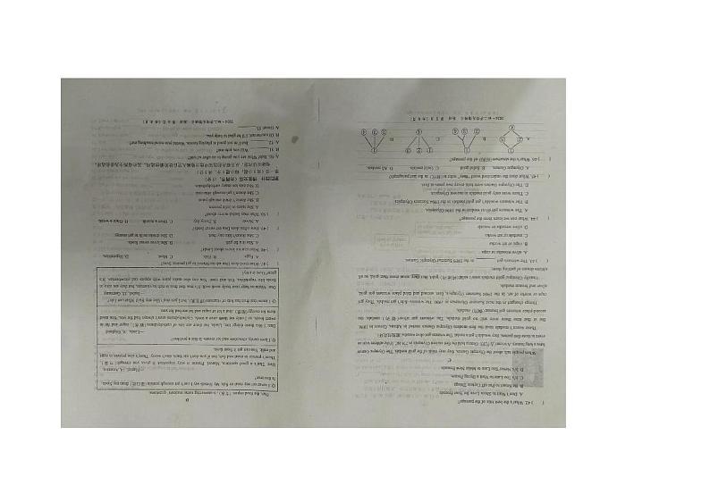 内蒙古自治区赤峰市2024-2025学年八年级上学期11月期中英语试题第3页