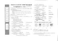 河南省商丘市睢阳区2024-2025学年八年级上学期11月期中英语试题