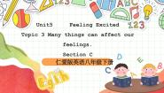 初中英语仁爱科普版（2024）八年级下册Topic 3 Many things can affect our feelings.获奖ppt课件